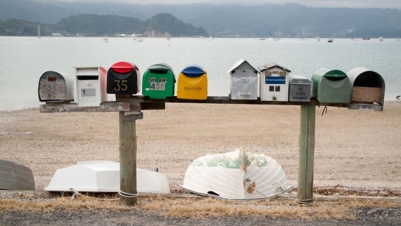 Photo of Others in Coromandel