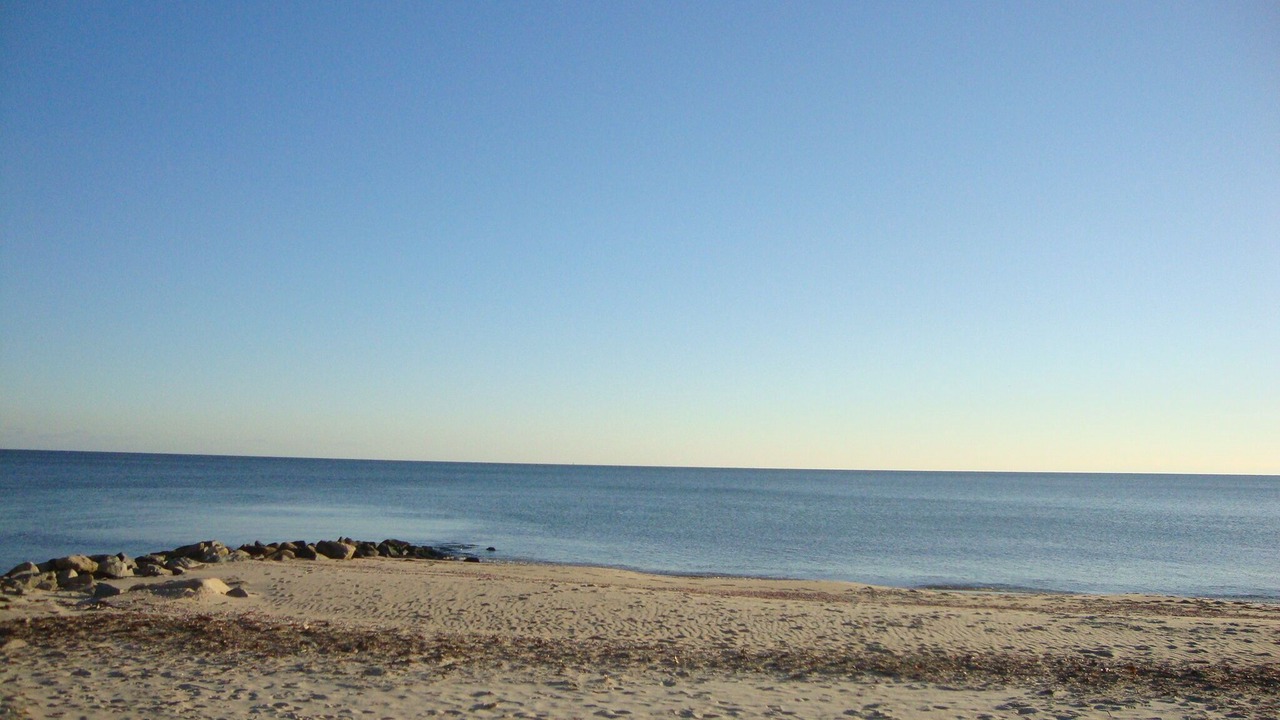 Photo of Others in Dennis Port