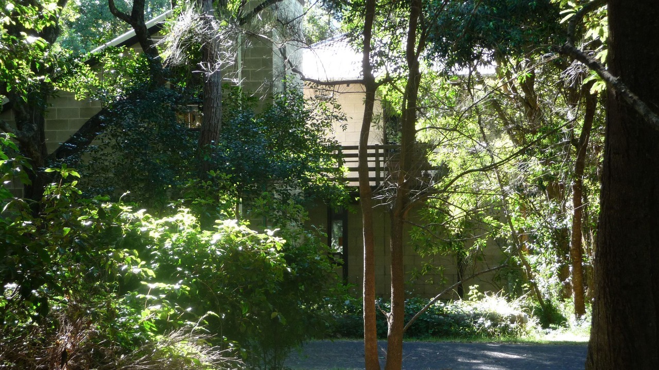 Photo of Outdoor in Broulee