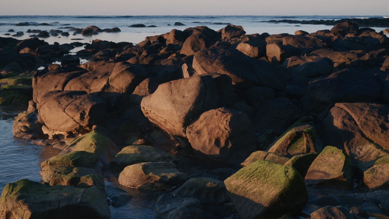 Photo of Others in Broulee