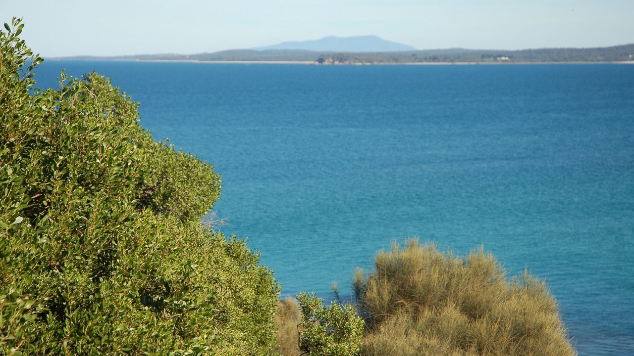 Photo of Others in Broulee