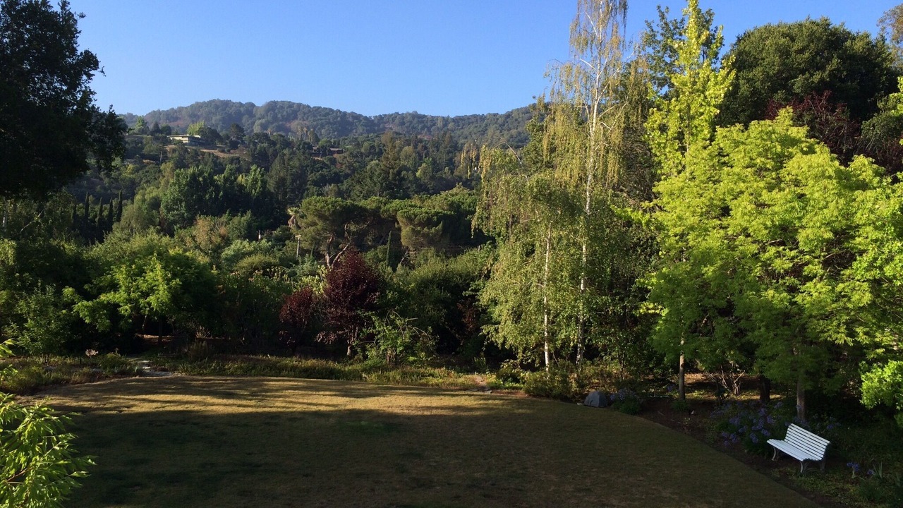 Photo of Outdoor in Los Altos Hills
