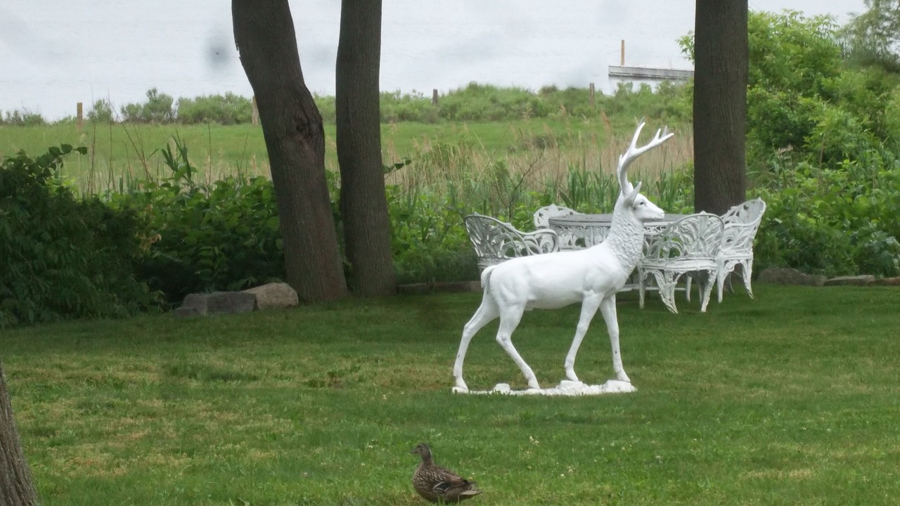 Photo of Others in Sag Harbor