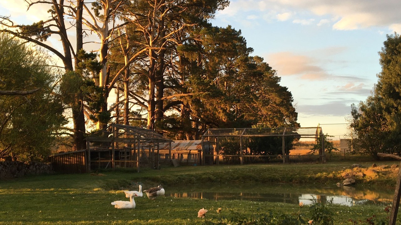 Photo of Outdoor in Millthorpe