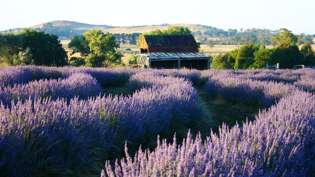 Photo of Outdoor in Millthorpe