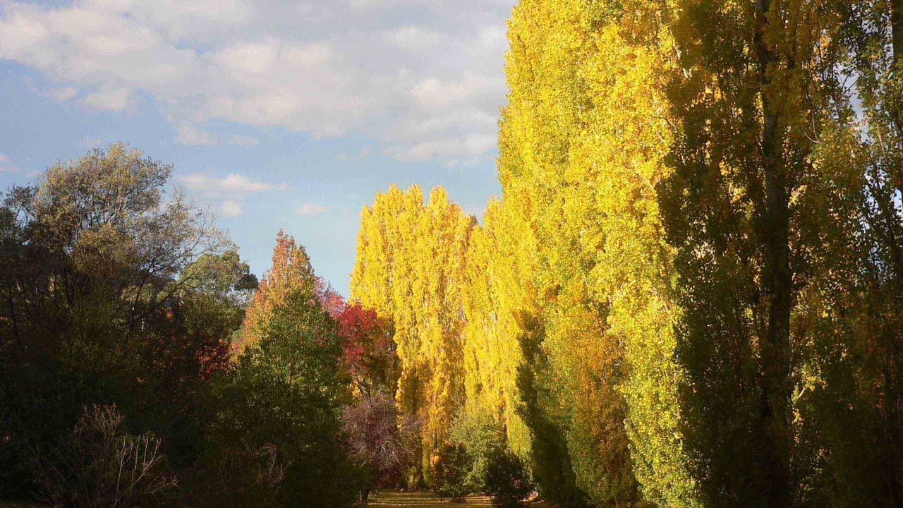 Photo of Outdoor in Bright