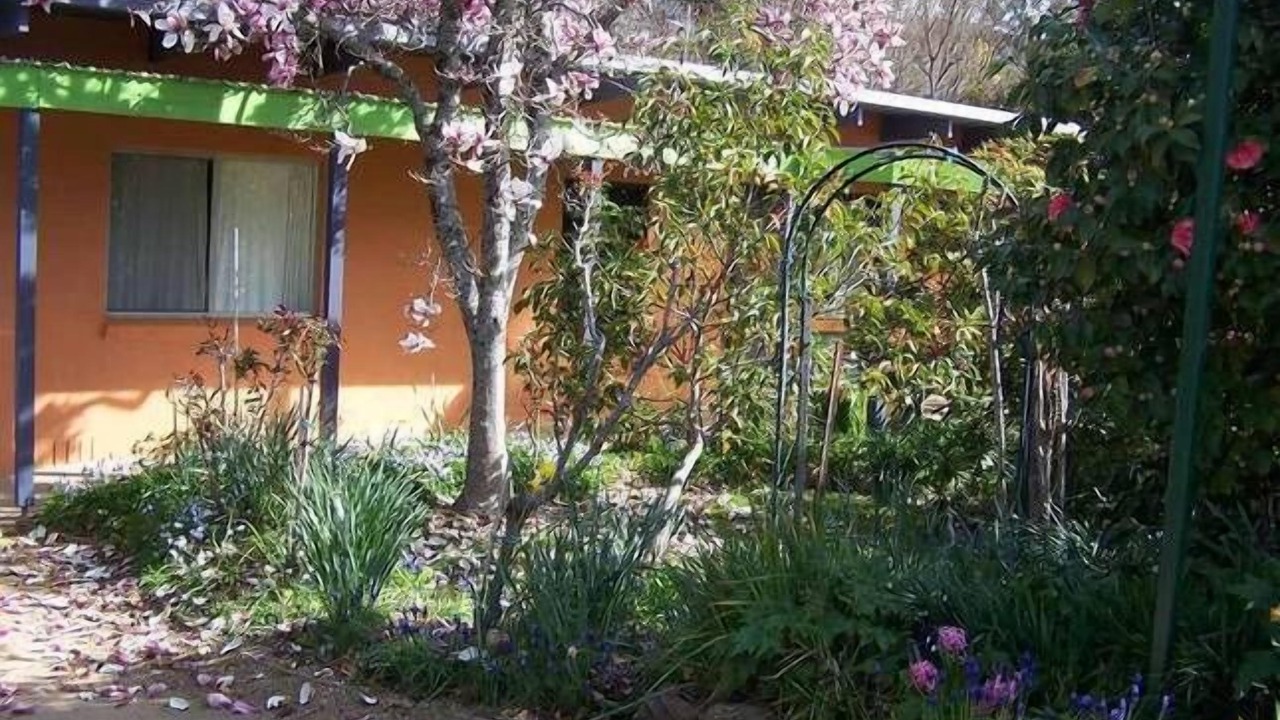 Photo of Outdoor in Bright