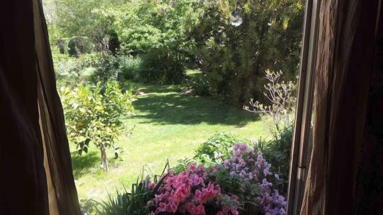 Photo of Others in Bright