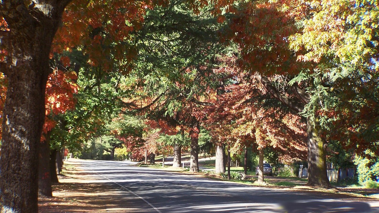 Photo of Others in Bright