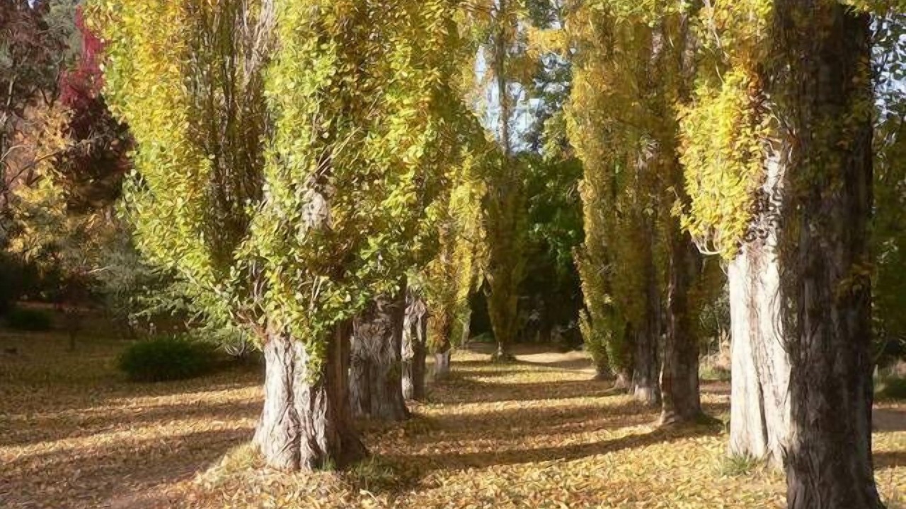 Photo of Outdoor in Bright