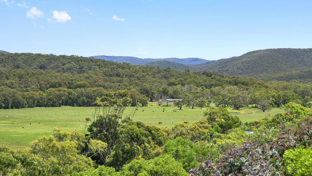 Photo of Others in Aireys Inlet