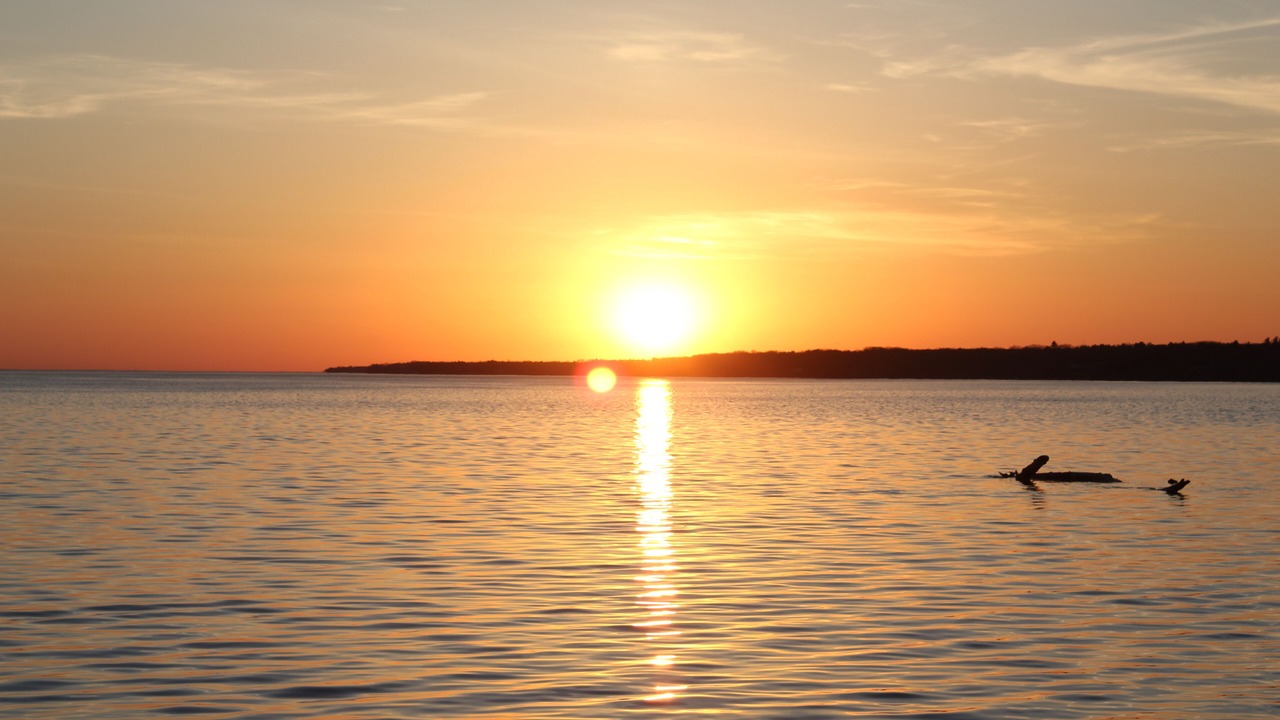 Photo of Others in Blossvale