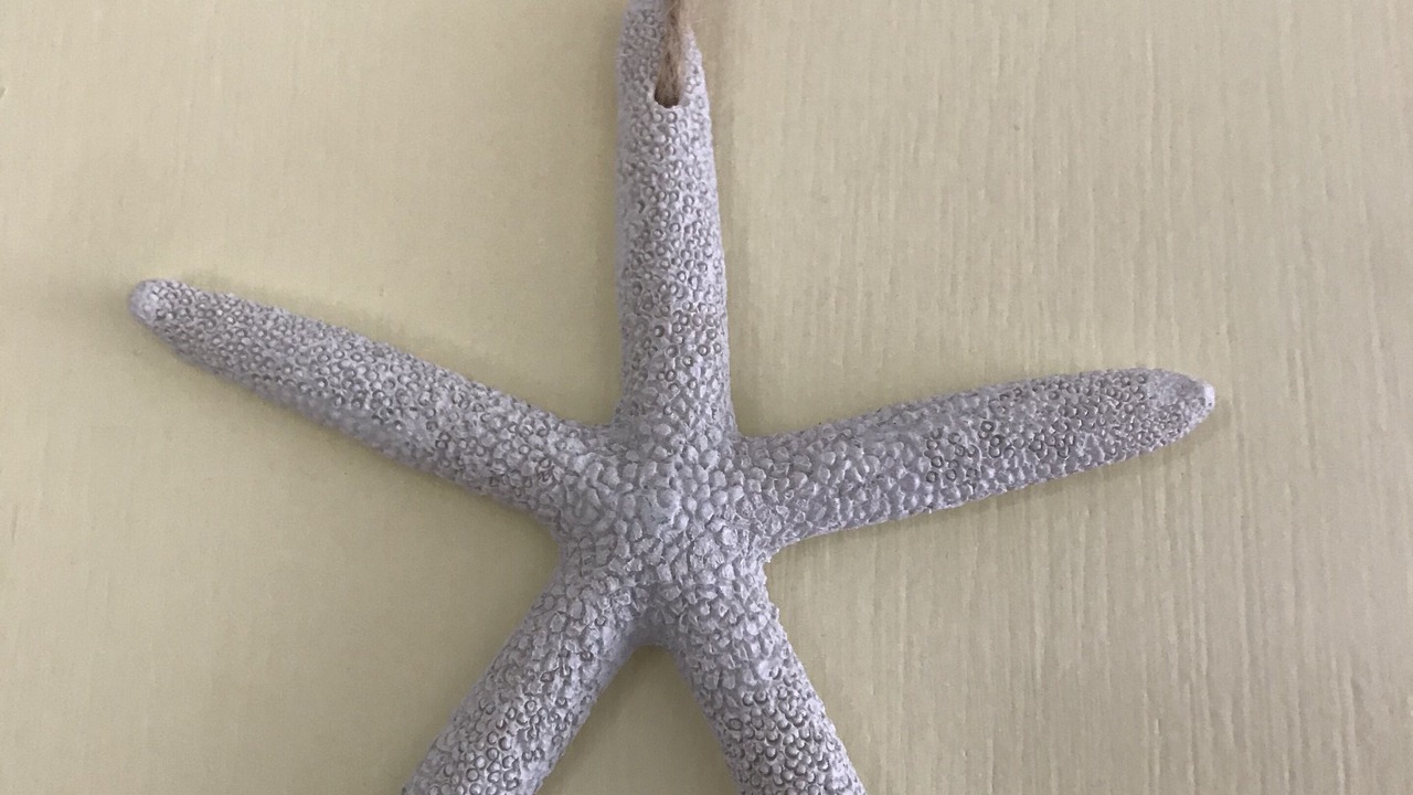 Photo of Bedroom in Ventnor