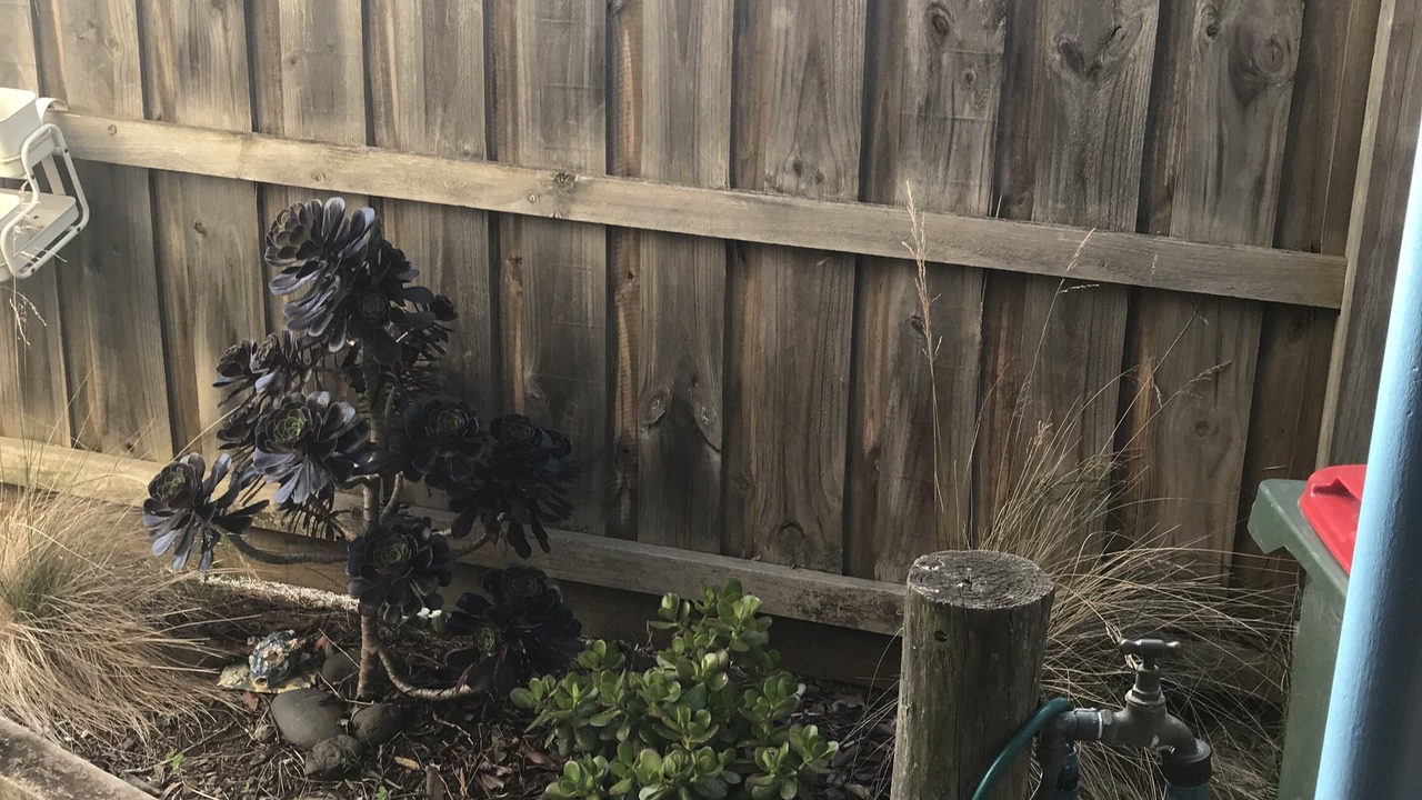 Photo of Outdoor in Ventnor