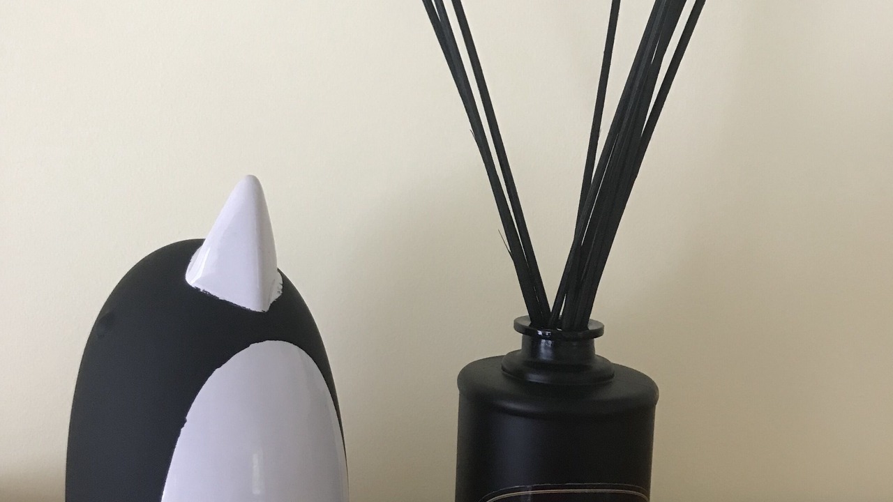 Photo of Others in Ventnor