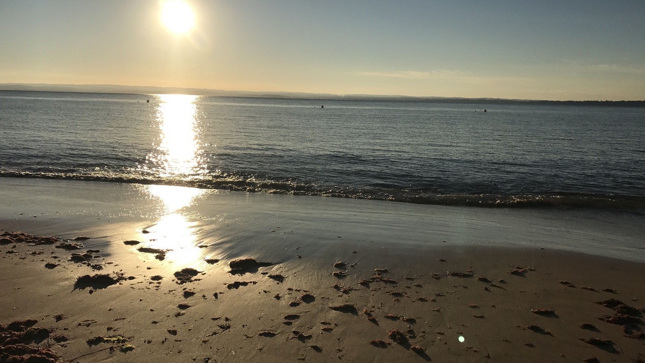 Photo of Others in Ventnor