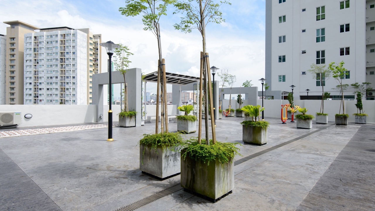 Photo of Others in George Town