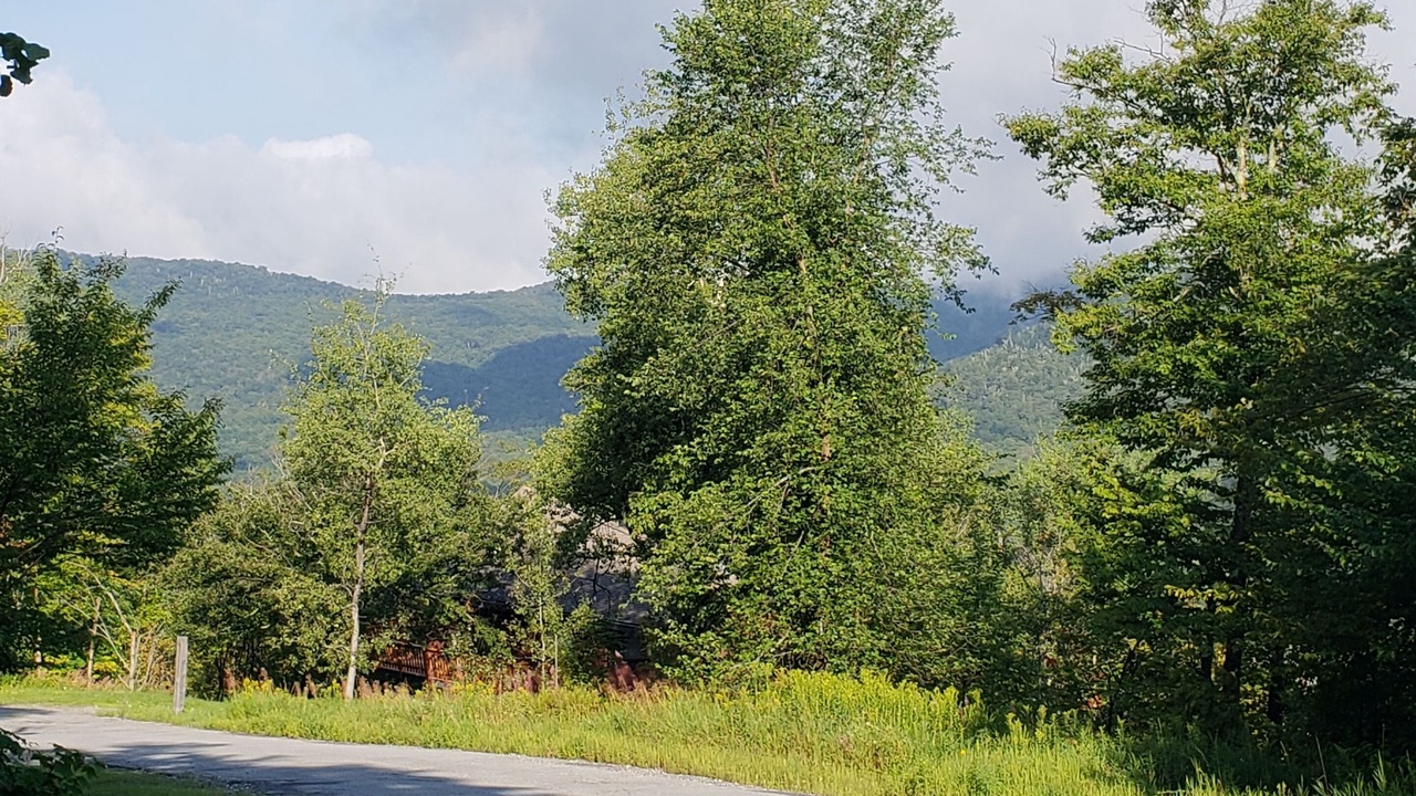 Photo of Others in Bolton Valley