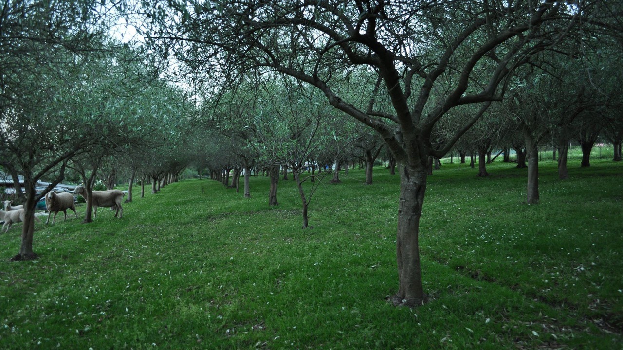 Photo of Outdoor in Drouin