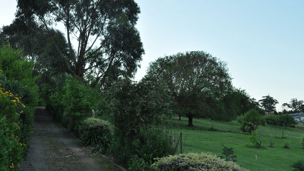 Photo of Outdoor in Drouin