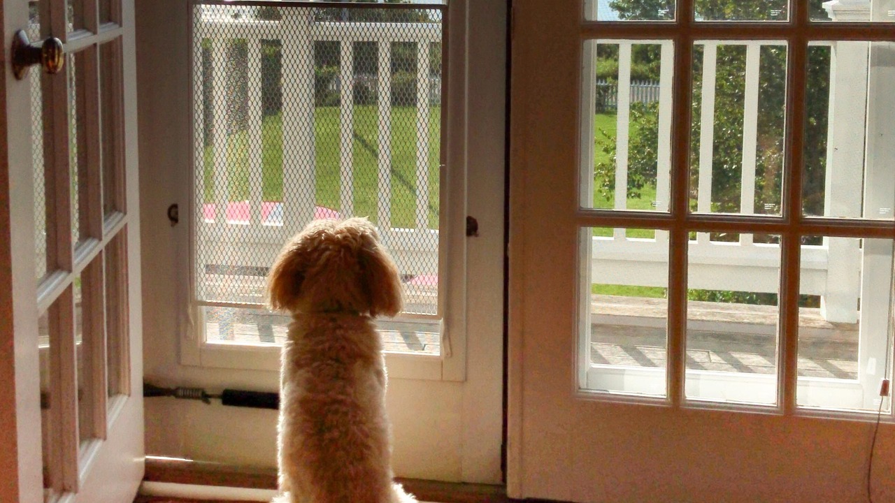 Photo of Others in Siasconset