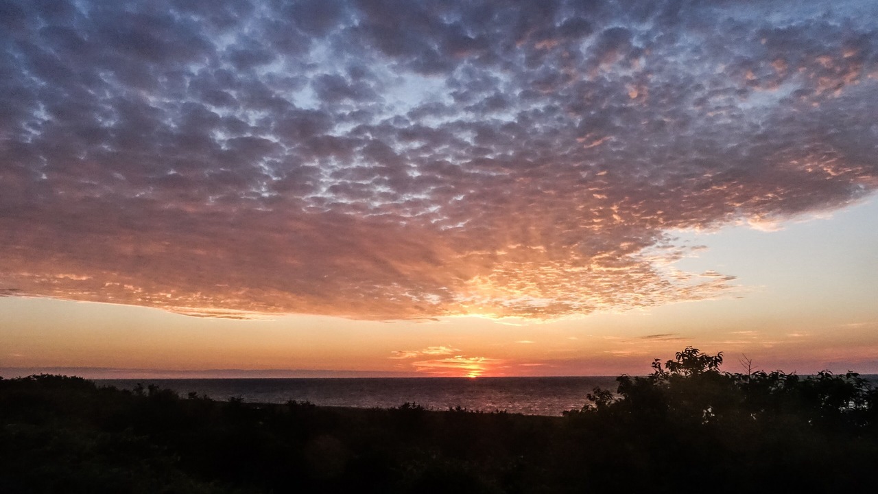 Photo of Others in Siasconset