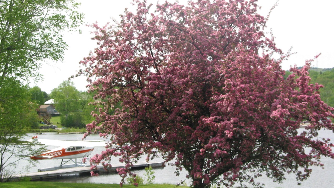 Photo of Outdoor in Greenville Junction