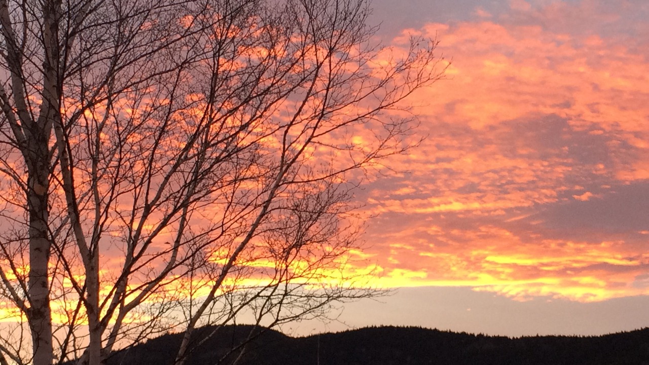 Photo of Others in Greenville Junction