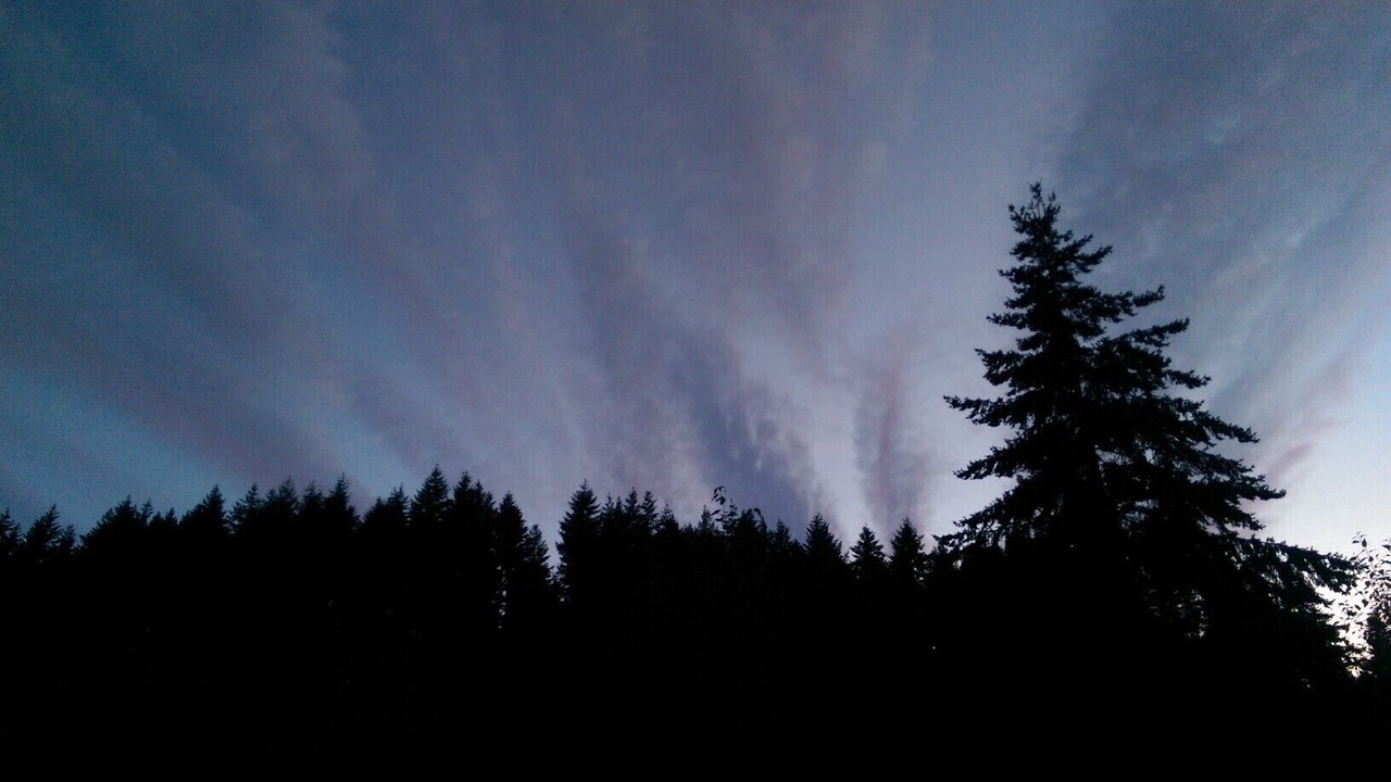 Photo of Others in White Salmon