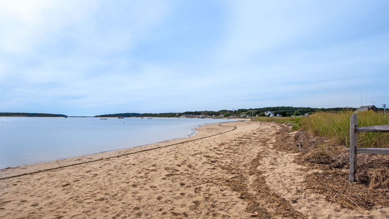 Photo of Others in Wellfleet