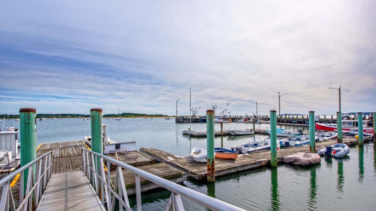 Photo of Others in Wellfleet