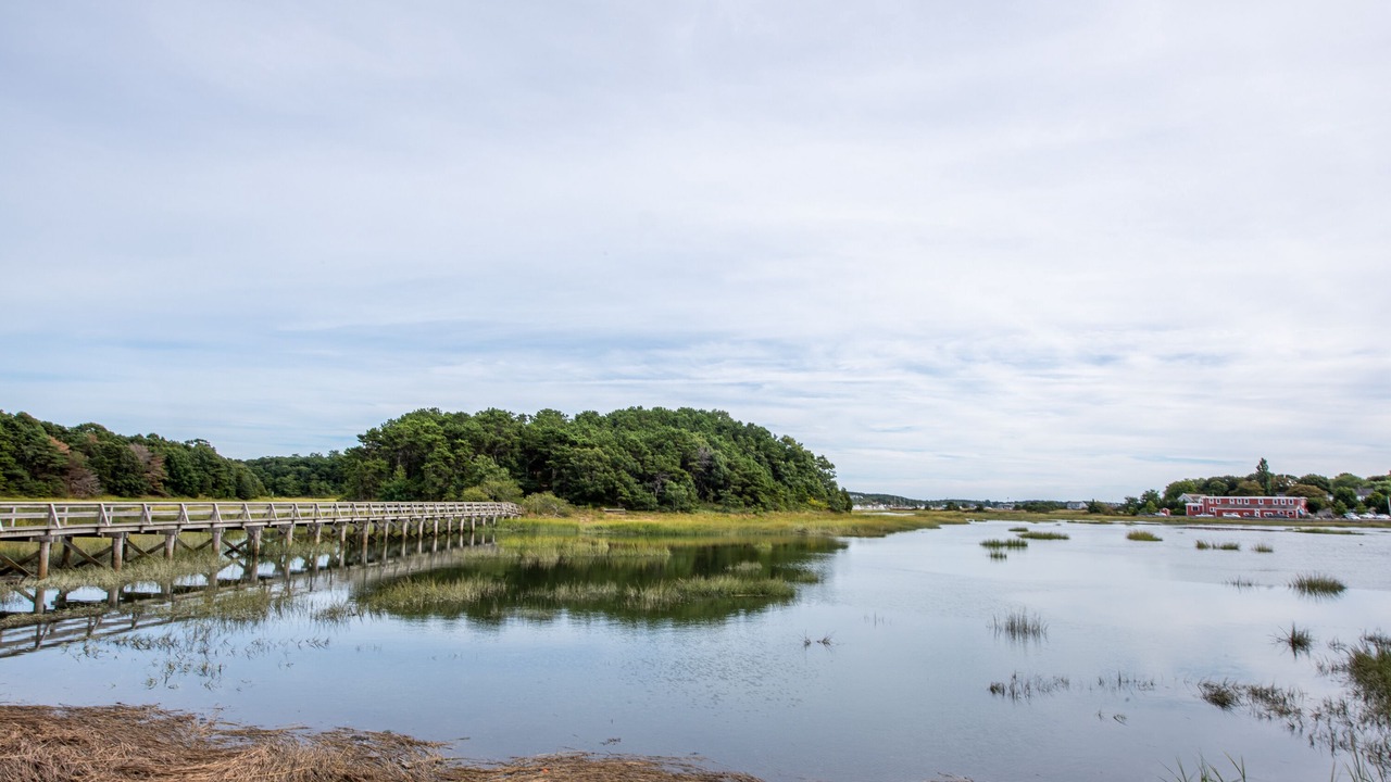 Photo of Others in Wellfleet