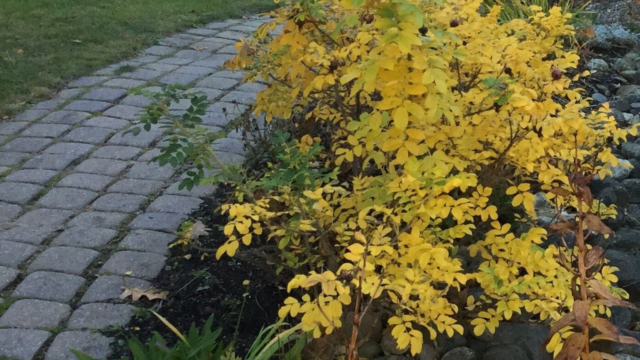 Photo of Outdoor in Ocean Point