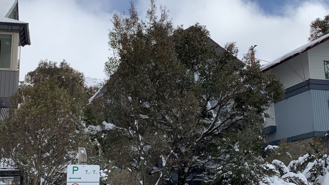 Photo of Outdoor in Thredbo
