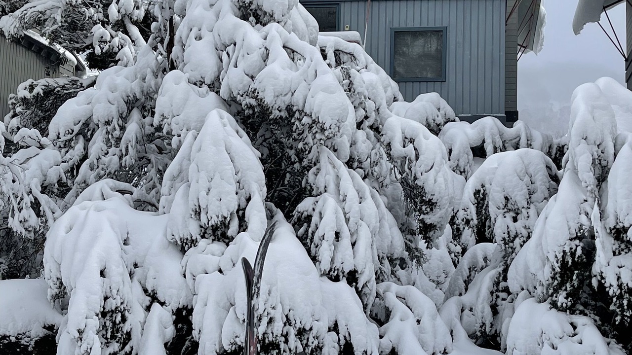 Photo of Outdoor in Thredbo
