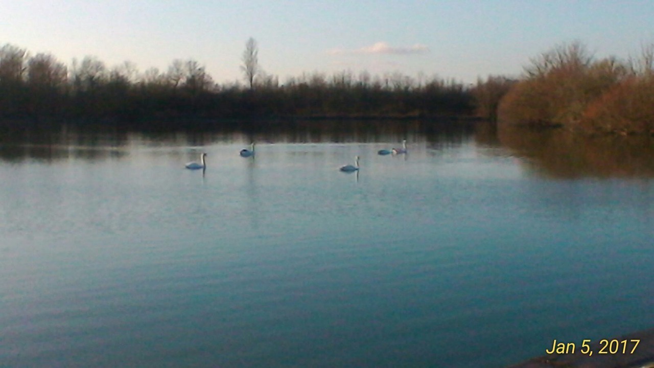 Photo of Outdoor in Le Langon