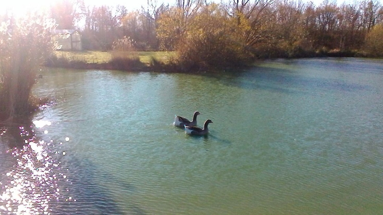 Photo of Others in Le Langon
