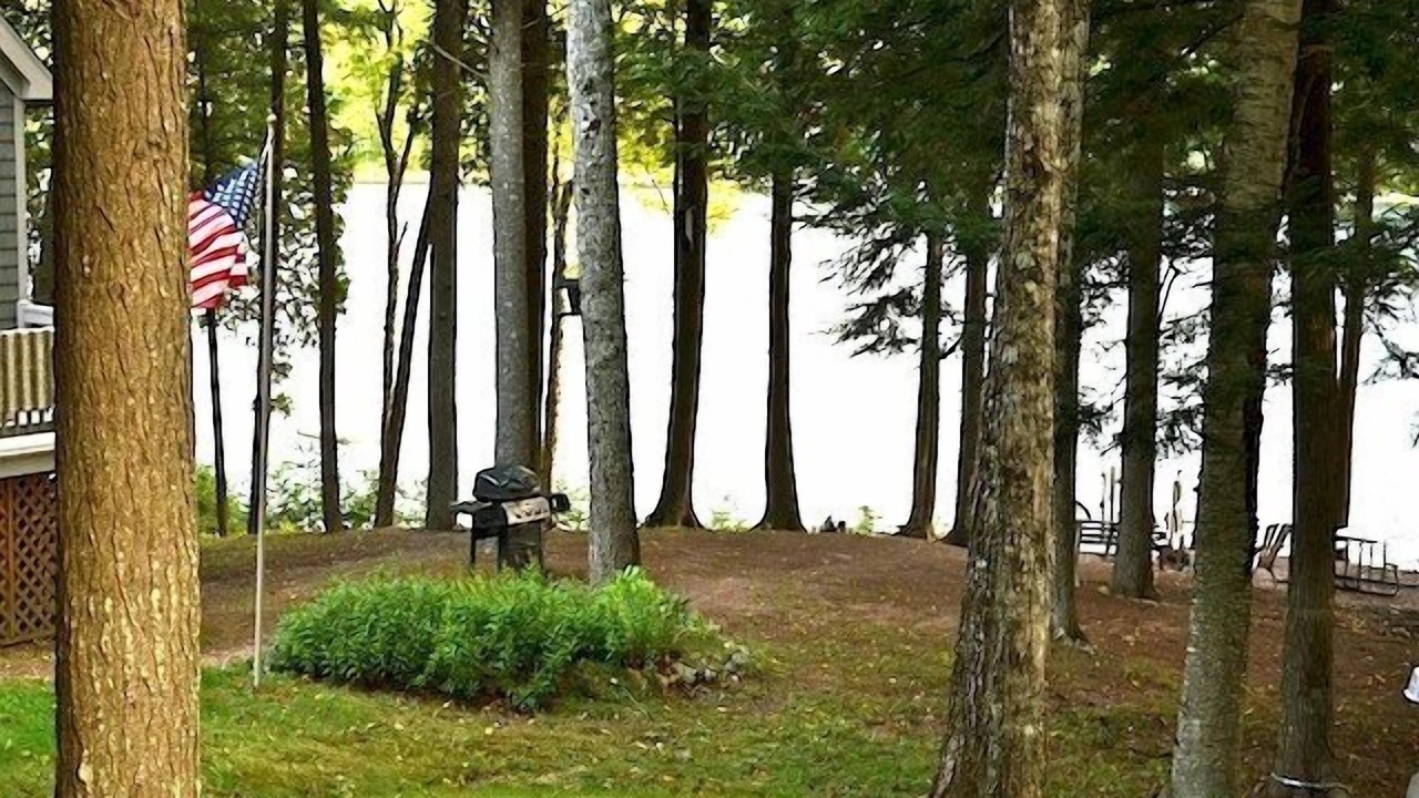 Photo of Others in Cherryfield