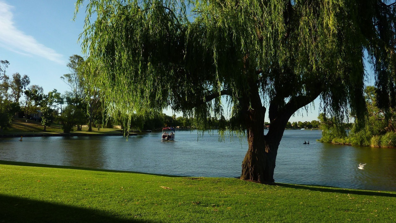 Photo of Others in Mulwala