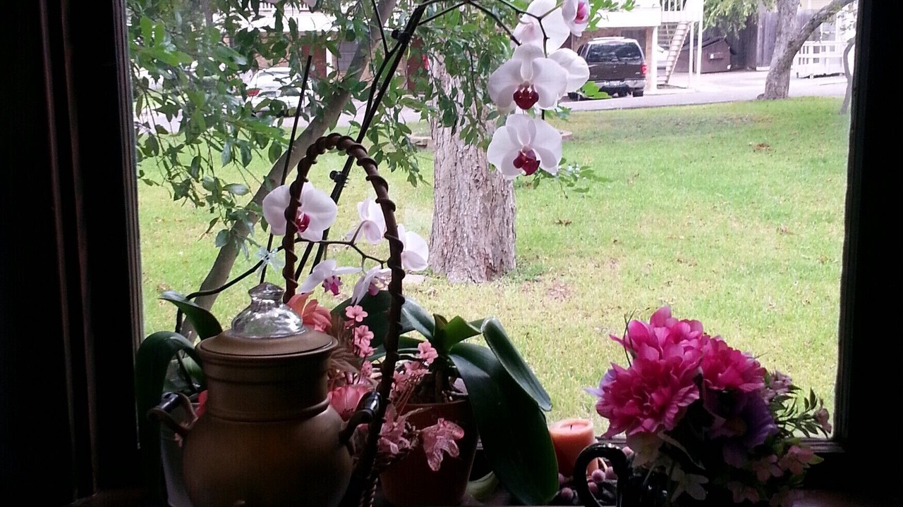 Photo of Bedroom in Brenham