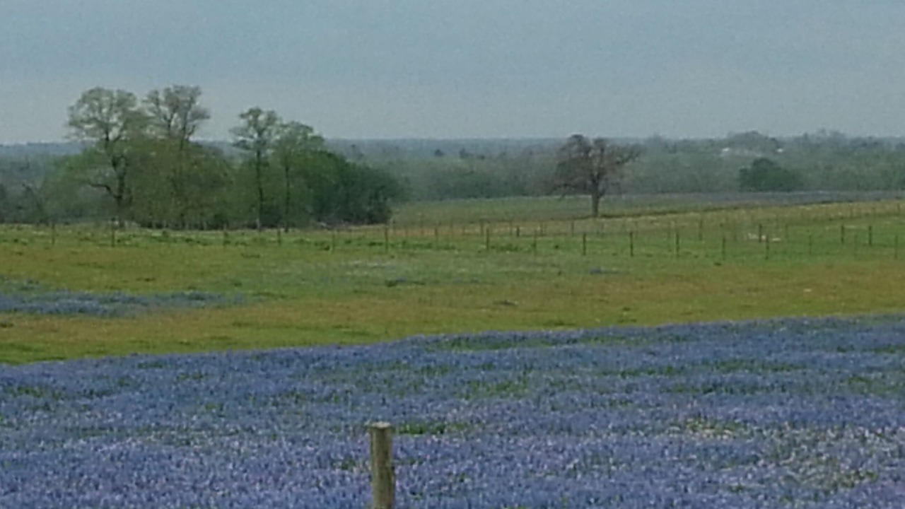 Photo of Others in Brenham