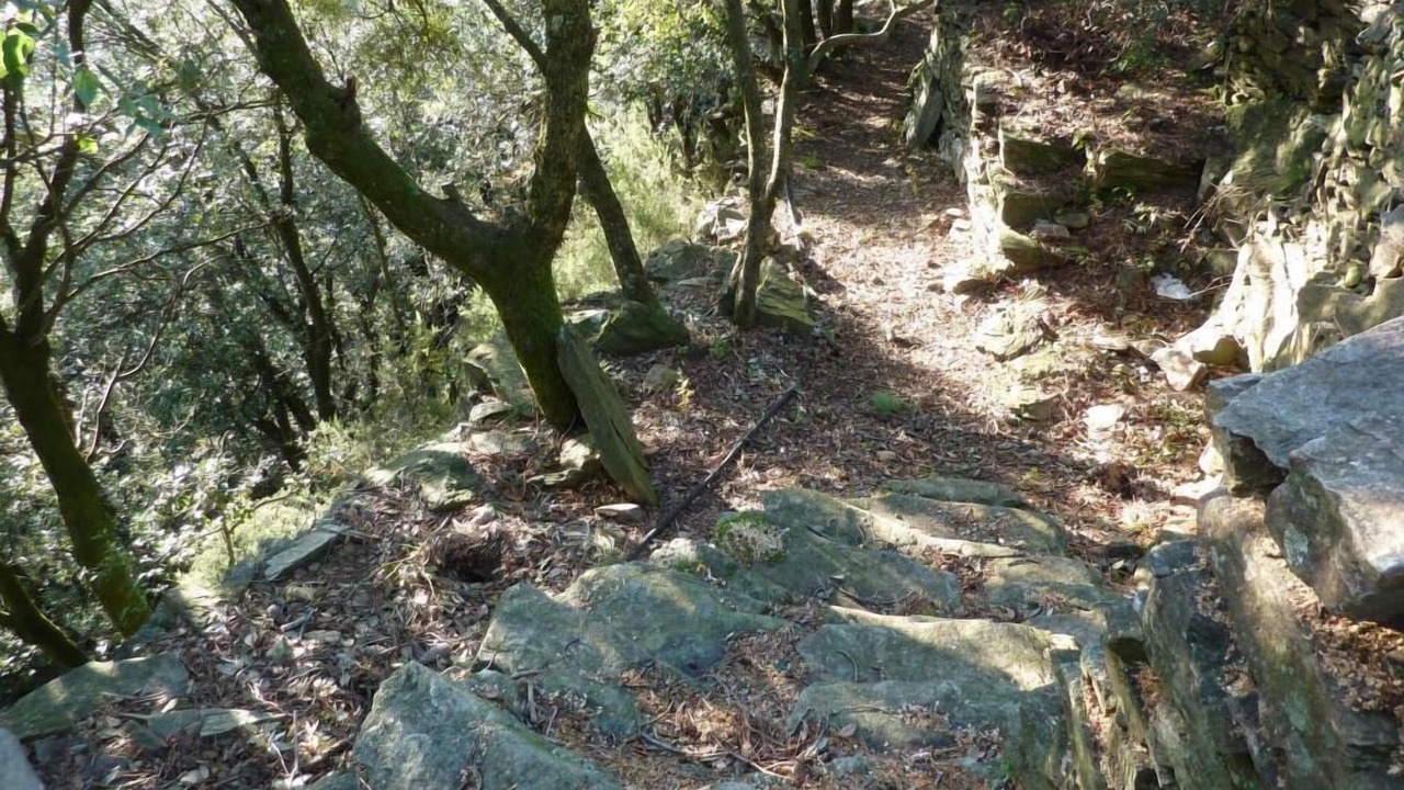 Photo of Outdoor in Saint-Melany