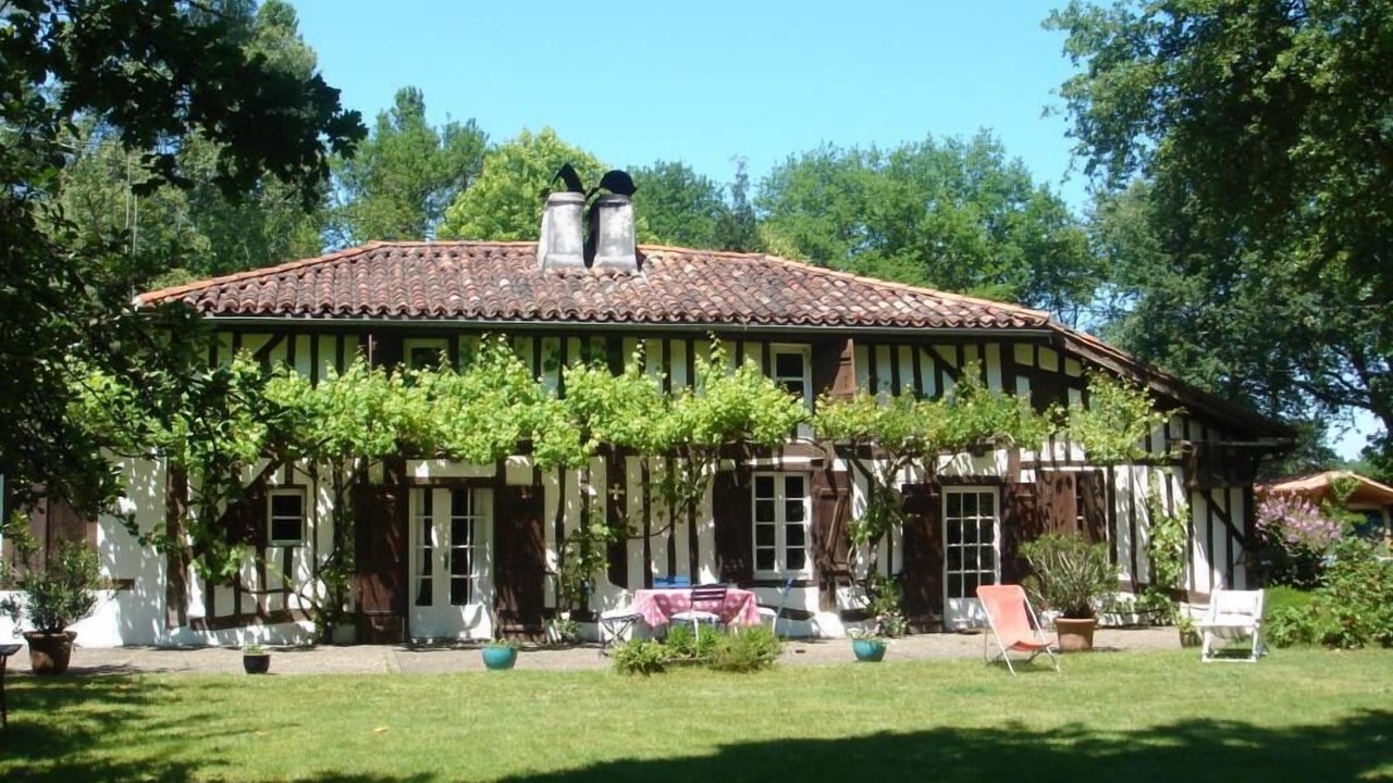 Photo of Others in Sore