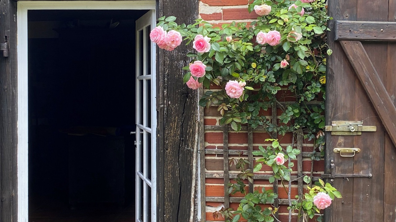 Photo of Outdoor in Sore