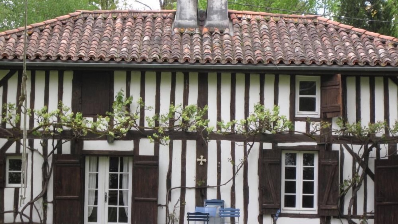 Photo of Others in Sore