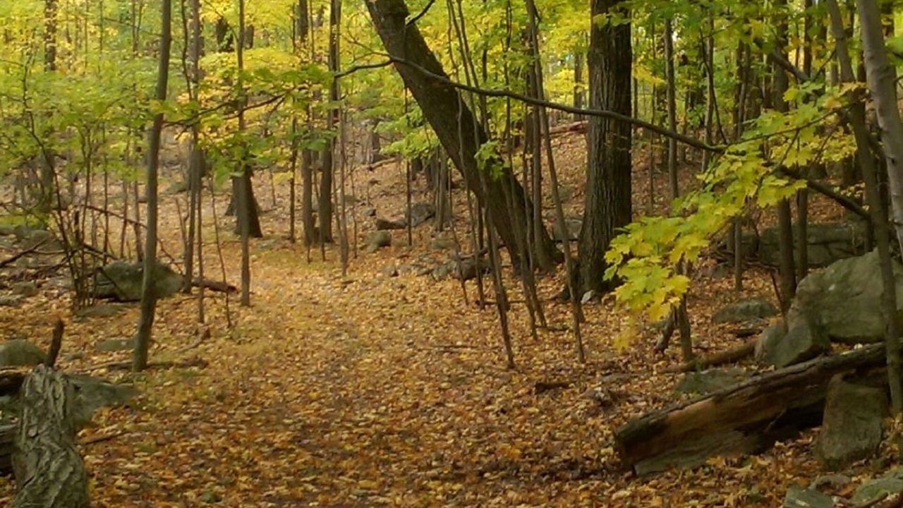 Photo of Outdoor in Town of Ramapo