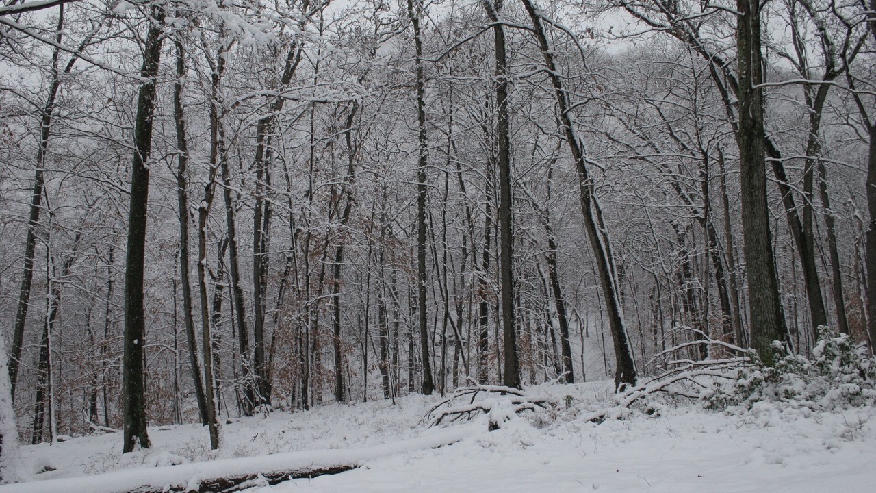 Photo of Others in Town of Ramapo