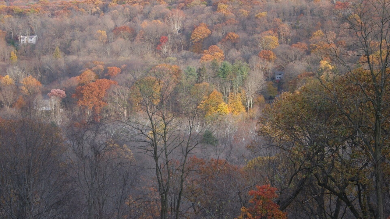 Photo of Others in Town of Ramapo