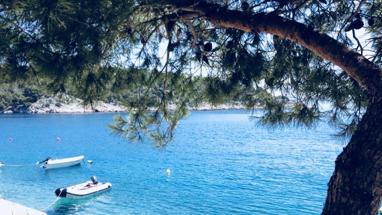Photo of Others in Cove Osibova (Milna)