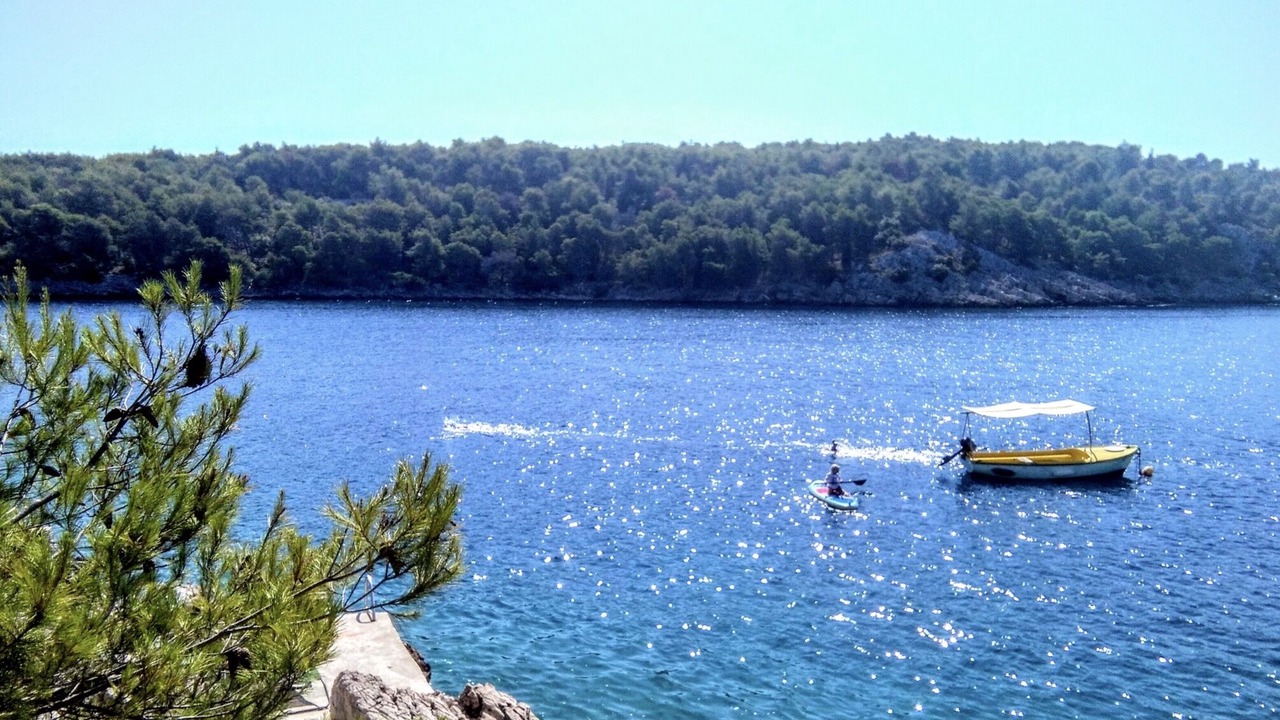 Photo of Others in Cove Osibova (Milna)